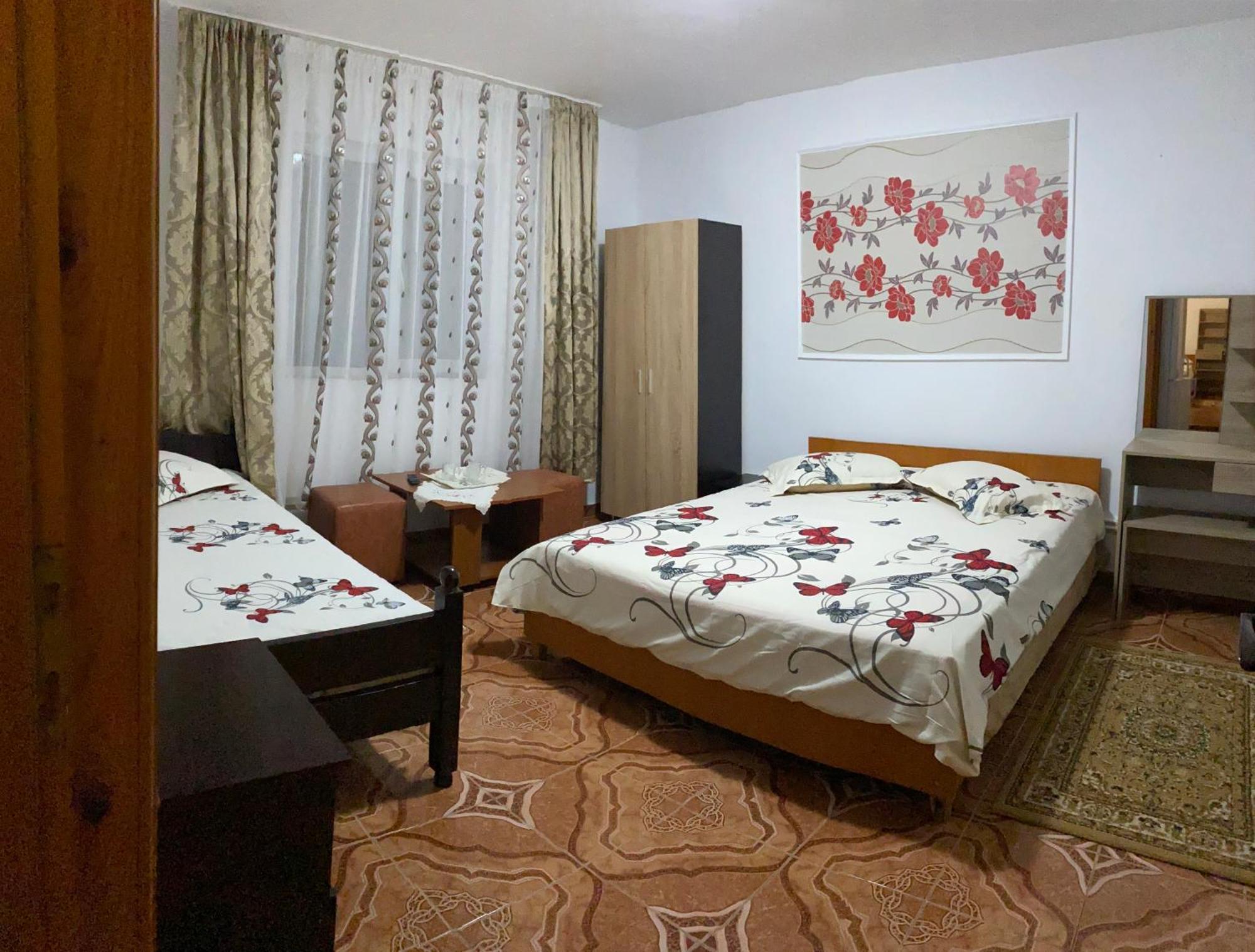 Casa Dasoveanu 科斯蒂内什蒂 外观 照片
